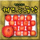 해뜨는아침농장 이미지