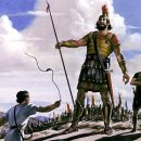 다윗 CO. 이미지