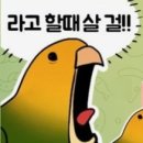 3008주유소 이미지