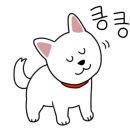 카니코리아 이미지