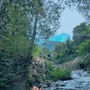 대룡산 오두막집 이미지