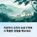 태국 치앙마이 코끼리 보호구역 체험 후기