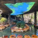 황제파크 이미지