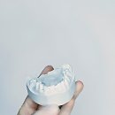 (유)영광자동차공업사 | 잇몸이 시큰하니 영광의 순간이 왔지 뭐예요