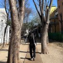 여자 봄코디 데일리룩, 블랙 와이드 슬랙스 코디 ( FEAT. <b>클릭앤퍼니</b> )