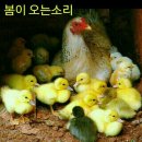 3월9일 둘째토욜 포항모임에 초대합니다.^^ 이미지