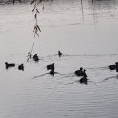 남순천의원 이미지