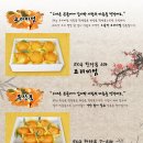 외갓집농산 이미지