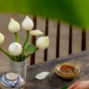 압구정동 주민센터 이미지