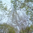 갈평목장 | 03.진전지환종주