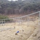 어미들 농장 이미지