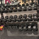3571 | 💪 대전 둔산동 헬스장 추천! 시설 끝판왕 브라이튼휘트니스 둔산점 솔직 후기