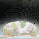 개좌길 네이버블로그