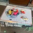컴포터블 | 제주 공항 근처 소품샵 투어 탱글, 컴포터블, 미뉴얼 3곳 후기(+주차)