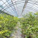 선바위농장 이미지