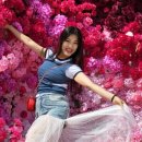 보령댄스학원 네이버블로그