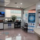 양이비인후과의원 이미지