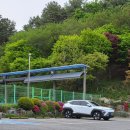얌샘김밥덕정점