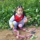 준서농장 이미지