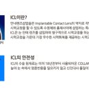 손안과 네이버블로그