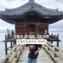 황금수 | 8월초 아이와 교토여행 만게츠지, 청수사, 산넨자카, 치쿠린, 도게츠교, 돈키호테미도스지점 방문후기