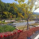 서운산자연휴양림 이미지