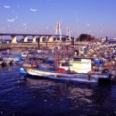 영흥도관광펜션 이미지