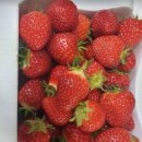 중현농장 이미지