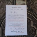 사파동239 이미지