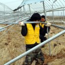 김인식농장 이미지