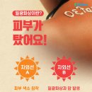 일광 이미지