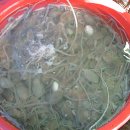 월출산산장민박 이미지