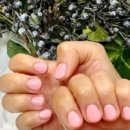 루미가넷 네일스파 - 창원시 마산합포구 | 루미가넷 네일스파