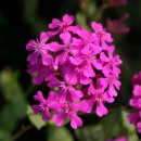 일일구공업사 이미지