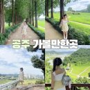 금강교옆 공원 | 공주 가볼만한곳 추천! 공산성부터 메타세콰이어길까지 (주차, 포토존 정보)