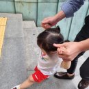 로아스시 이미지