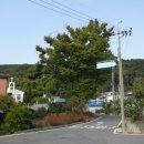 옹진농업협동조합 덕적지점 이미지