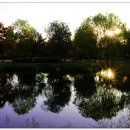 율하체육공원 생태연못 이미지