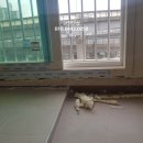 서울시 성북구 종암극동아파트 네이버블로그
