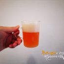 그레이프 독 티스토리