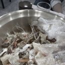 포항회타운 이미지