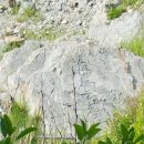 해운대에 올라 이미지