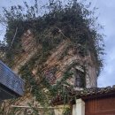 황산 | 중국 황산 탐방후기