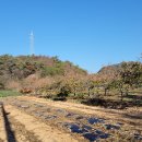 철성농장 이미지