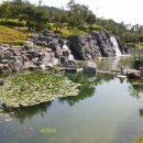 이코노행정사사무소 이미지