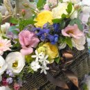 꽃나래 디자인 이미지