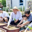 감자수북 이미지