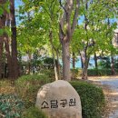 장산 축구장 이미지