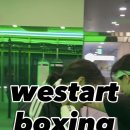 위스타트복싱 이미지