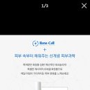 르네셀 이미지